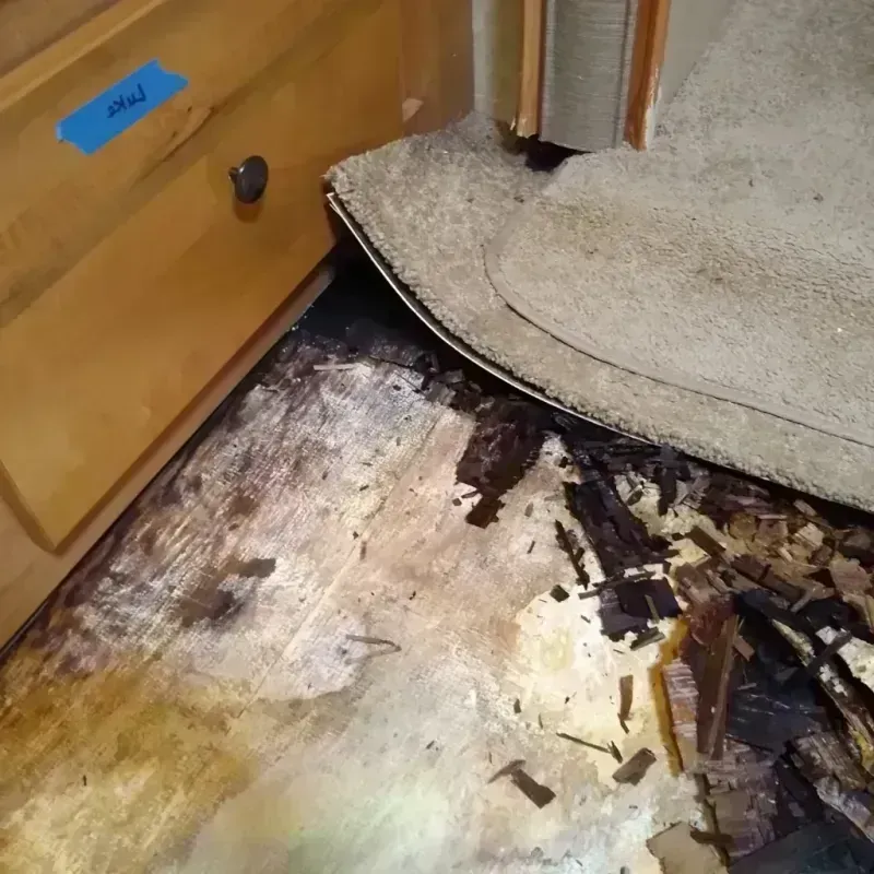 Wood Floor Water Damage in Williams County, OH